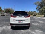 Used 2019 Honda CR-V EX-L image 5