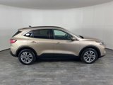 Used 2021 Ford Escape SEL image 5