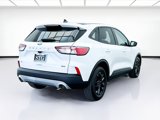 Used 2020 Ford Escape SE Sport image 4