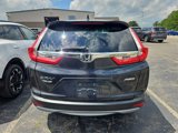 Used 2019 Honda CR-V EX image 5