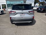 Used 2020 Ford Escape SE image 4