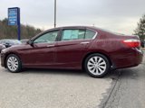 Used 2014 Honda Accord EX-L image 3