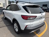 Used 2020 Ford Escape SE image 3