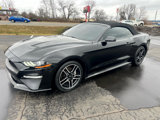 Used 2019 Ford Mustang Premium image 2