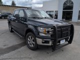 Used 2019 Ford F150 XLT w/ Equipment Group 302A Luxury image 2