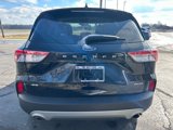 Used 2022 Ford Escape SE w/ Convenience Package image 4