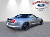Certified 2022 Ford Mustang Premium image 3