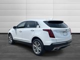 New 2025 Cadillac XT5 Premium Luxury image 3