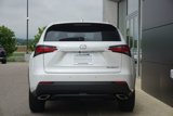 Used 2017 Lexus NX 200t AWD image 6