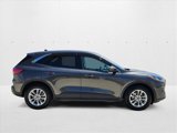 Used 2020 Ford Escape SE image 4