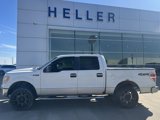 Used 2010 Ford F150 XLT image 3