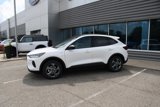 New 2025 Ford Escape ST-Line w/ Tech Pack #1 image 2