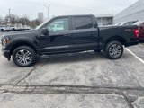 Used 2023 Ford F150 XL w/ STX Appearance Package image 3