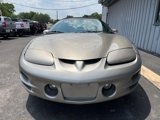 Used 2002 Pontiac Firebird Trans Am image 2