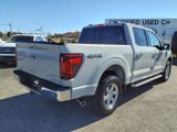 New 2024 Ford F150 XLT w/ Equipment Group 302A MID image 3