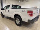 Used 2014 Ford F150 4x4 SuperCrew image 3