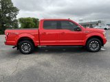 Used 2019 Ford F150 XLT w/ Equipment Group 302A Luxury image 2