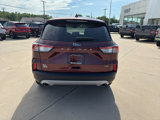 Used 2021 Ford Escape SE image 4