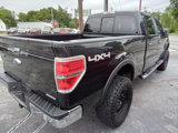 Used 2013 Ford F150 XLT w/ Luxury Equipment Group image 3
