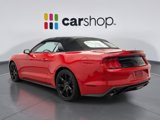 Used 2019 Ford Mustang Premium w/ Equipment Group 201A image 2