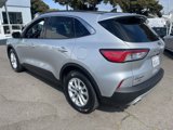 Used 2020 Ford Escape SE image 6