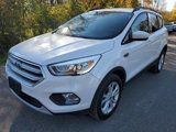 Used 2019 Ford Escape SEL image 2