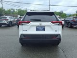 Used 2020 Toyota RAV4 XLE Premium image 5
