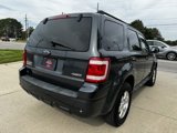 Used 2008 Ford Escape Limited image 5
