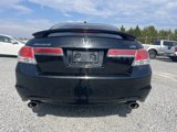 Used 2012 Honda Accord EX-L image 5