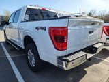 Certified 2022 Ford F150 XLT w/ Equipment Group 302A High image 4