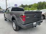 Used 2014 Ford F150 STX w/ Equipment Group 201A Mid image 6