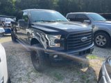 Used 2015 Ford F150 XLT w/ Equipment Group 302A Luxury image 2