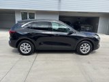 Used 2024 Ford Escape Active image 4