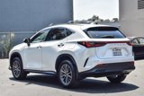 Used 2025 Lexus NX 350h AWD w/ Premium Package image 4