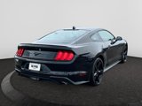 Used 2022 Ford Mustang Premium w/ Equipment Group 201A image 3