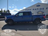 Used 2022 Ford F150 XLT w/ Equipment Group 302A High image 2