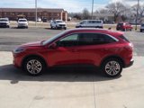 Used 2021 Ford Escape SEL image 5