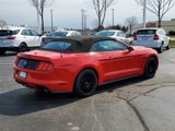 Used 2015 Ford Mustang Premium w/ 50 Years Appearance Package image 3