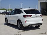 New 2024 Ford Escape ST-Line w/ Tech Pack #1 image 4