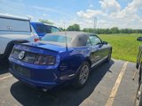 Used 2013 Ford Mustang Premium w/ Comfort Pkg image 3