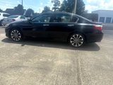 Used 2014 Honda Accord Sport image 2