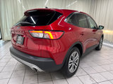 Used 2022 Ford Escape SEL image 6