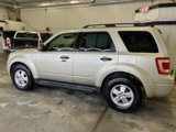 Used 2012 Ford Escape XLT image 5
