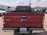Used 2014 Ford F150 XLT w/ Equipment Group 302A Luxury image 5