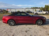 Used 2016 Ford Mustang GT Premium w/ Equipment Group 401A image 3