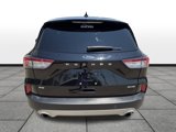 Used 2020 Ford Escape SE image 4