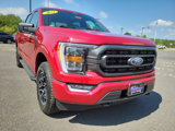 Certified 2021 Ford F150 XLT w/ Equipment Group 302A High image 2