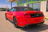 Used 2022 Ford Mustang Premium image 5