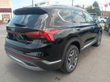 Used 2022 Hyundai Santa Fe SEL Convenience image 5