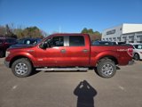 Used 2014 Ford F150 XLT w/ Equipment Group 302A Luxury image 2